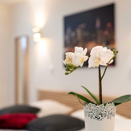 Citycosy Strasbourg - Studio Hirtz Orangerie Esterno foto