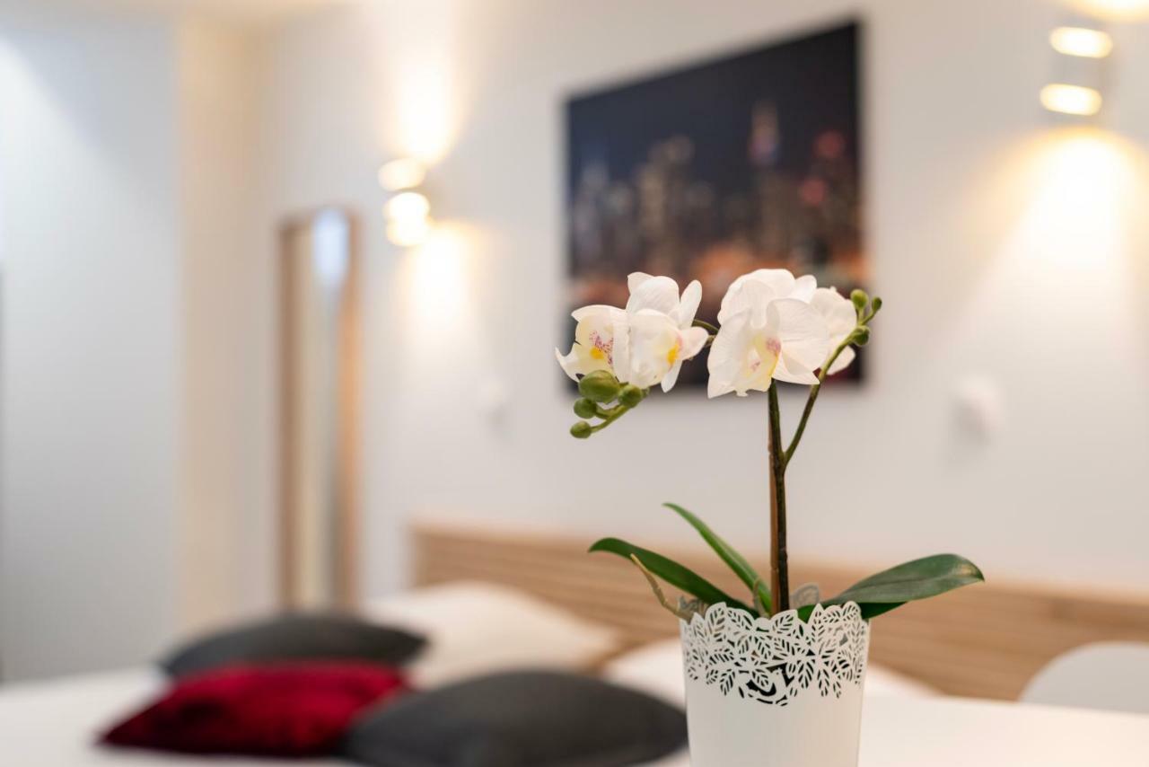 Citycosy Strasbourg - Studio Hirtz Orangerie Esterno foto